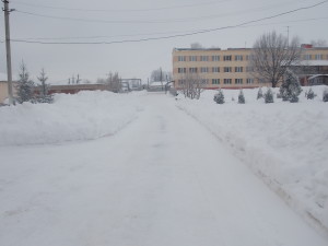 dscn5592