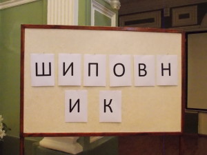 DSCN6589