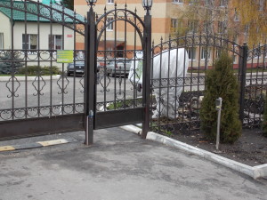 DSCN6776