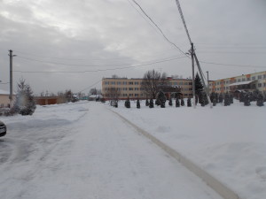 DSCN7073