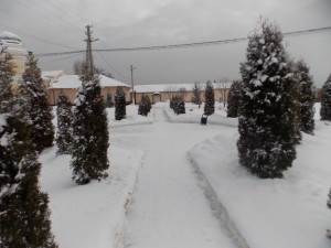 DSCN7083
