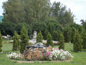 DSCN7966