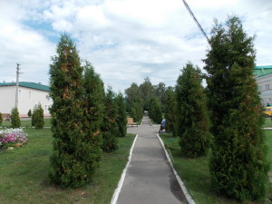 DSCN7972