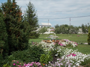 DSCN7973