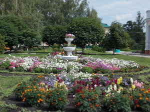DSCN7975
