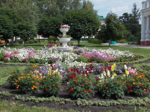 DSCN7976