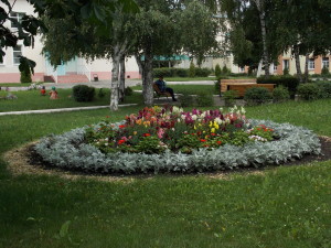 DSCN7977