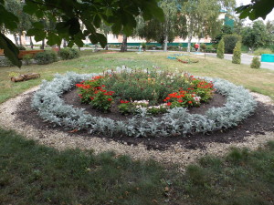 DSCN8045