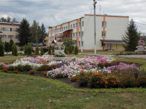 DSCN8047