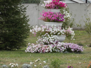 DSCN8048
