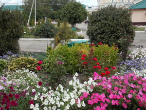 DSCN8053