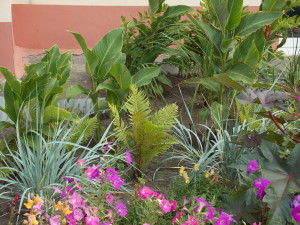 DSCN8054