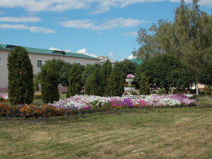 DSCN8055