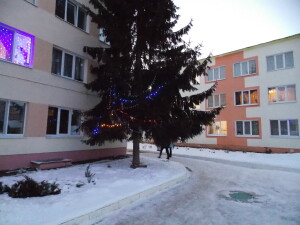 DSCN8495