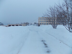 DSCN8629