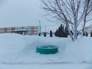 DSCN8630