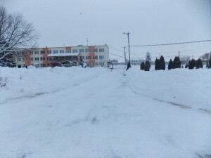 DSCN8631