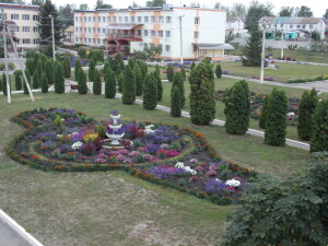 DSCN9215