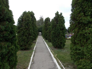 DSCN9220