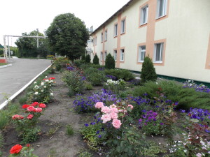DSCN9225