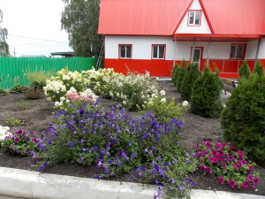 DSCN9233