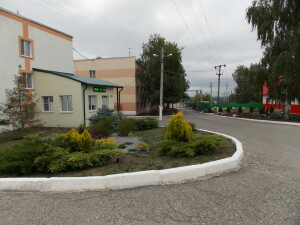 DSCN9238