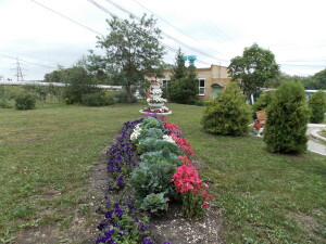 DSCN9239