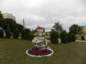 DSCN9240