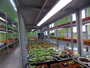 DSCN9920