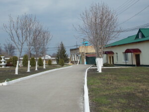 DSCN9974