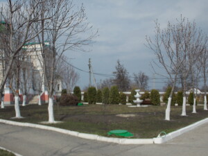 DSCN9975