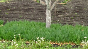 DSC00019