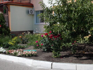 DSCN0086