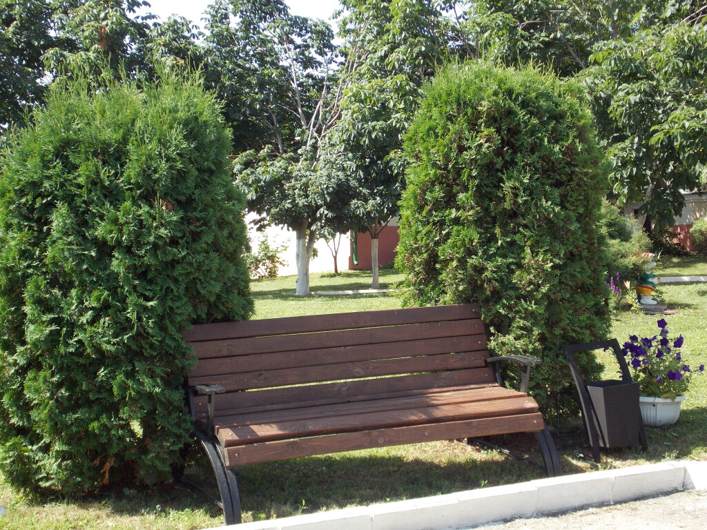 DSCN0091